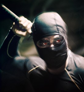Ninja - post