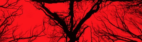 blair-witch-2016-poster